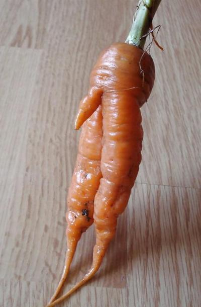 5P Erotische Nahrung!