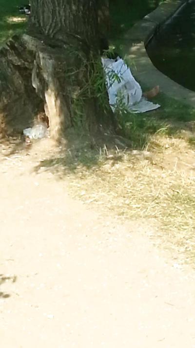 25P Spy old + young sexy ass and panties romanian