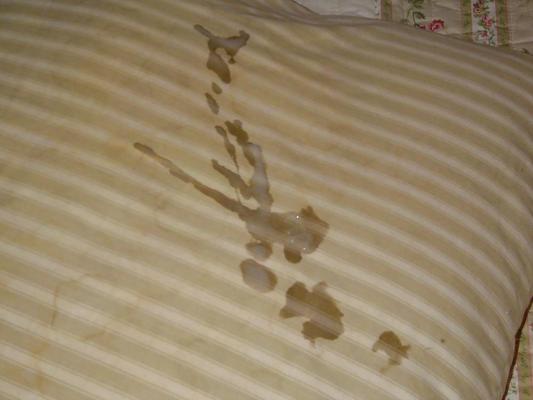10P My feather pillow