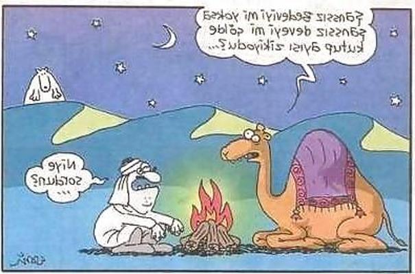 4P Comics