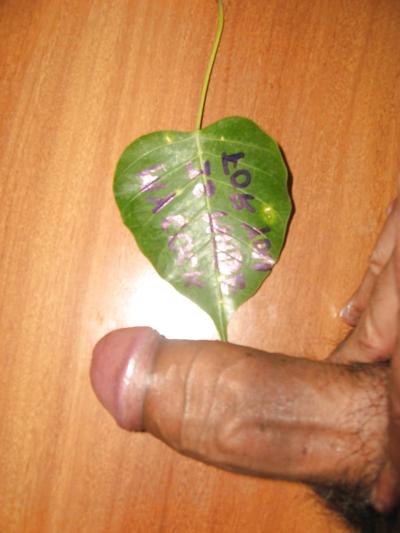 12P Play with my cock