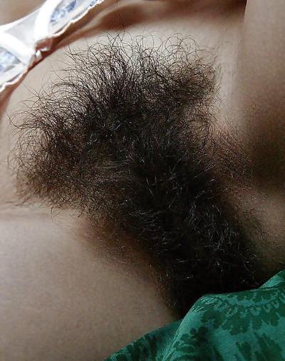25P Hairy bush close-up
