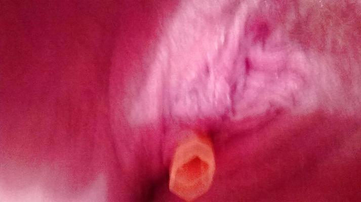 6P Razor slipped up her pussy whilst shaving! 