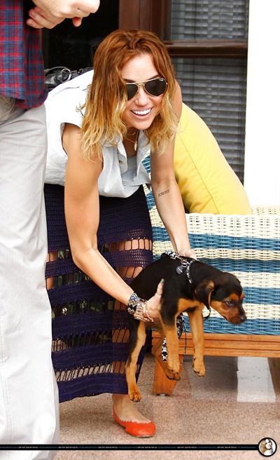17P Miley Cyrus Downblouse