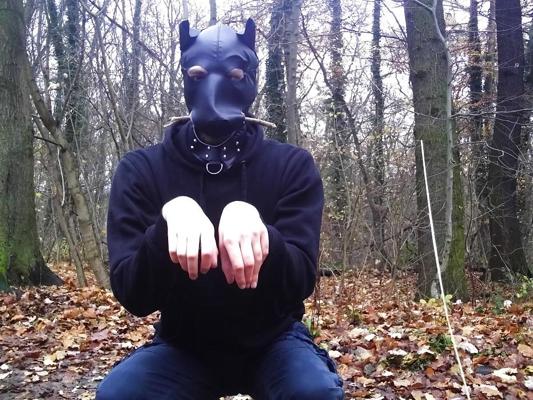 10P Sklavenhund im Wald - 森の奴隷