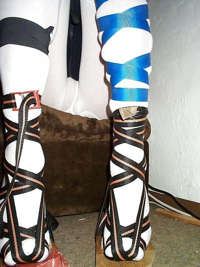 10P Bound legs and feet