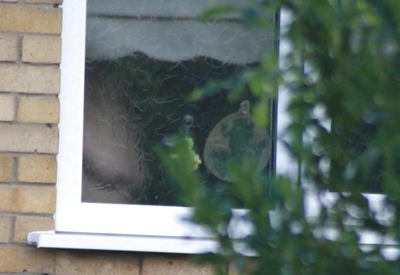 11P Neighbour Caught Showering