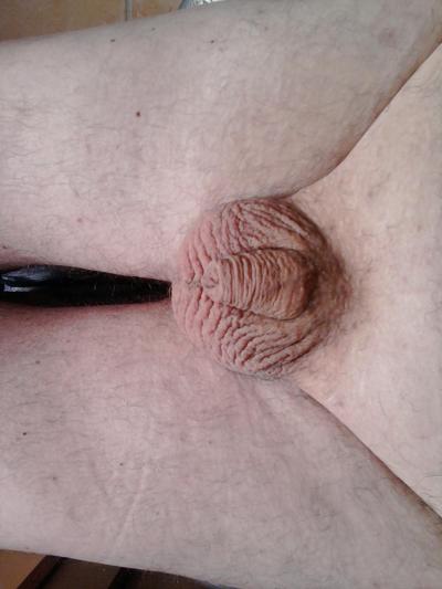 14P Cbt domination fleuriste