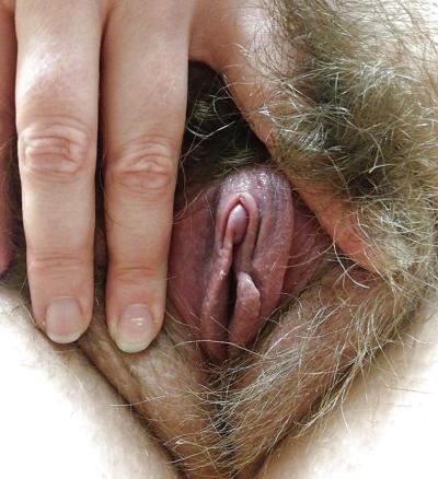 25P Hairy Pussies