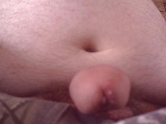 14P Close up of cock