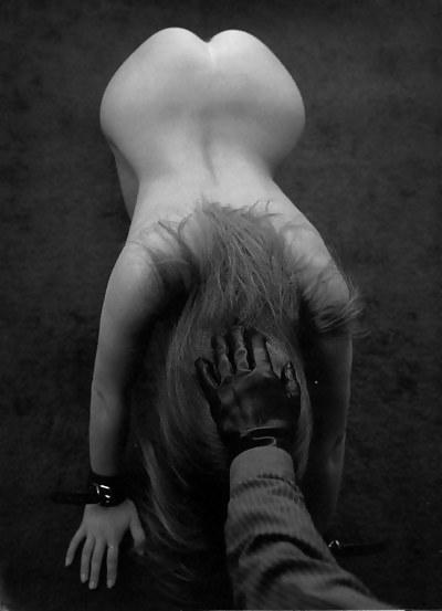 14P Dominance and submission 13