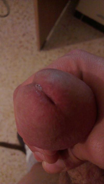 12P Mon  penis Zebi 2 