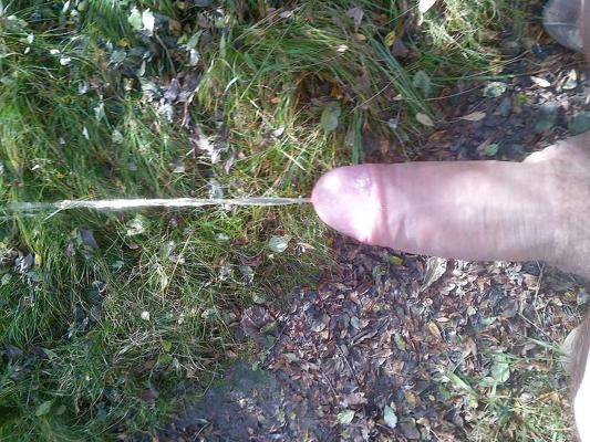7P Im Wald ...