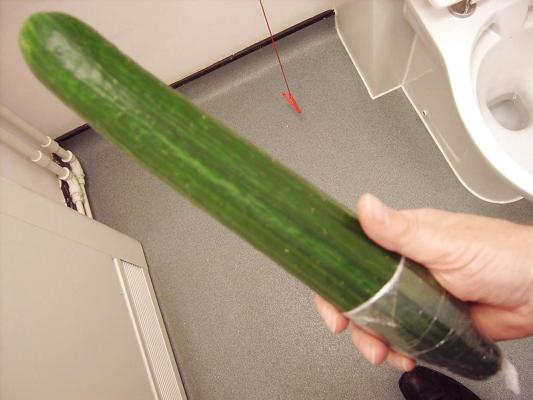 4P Cucumber training