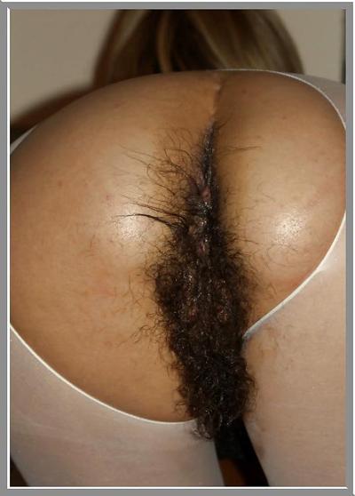 19P Gros cul et chatte poilue