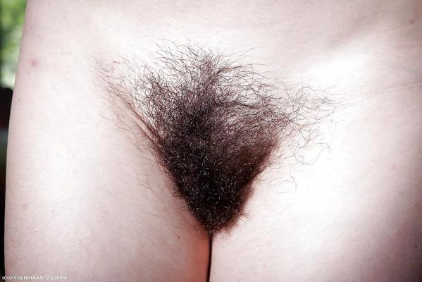25P Hermosas Panochas Peludas - Belles chattes poilues