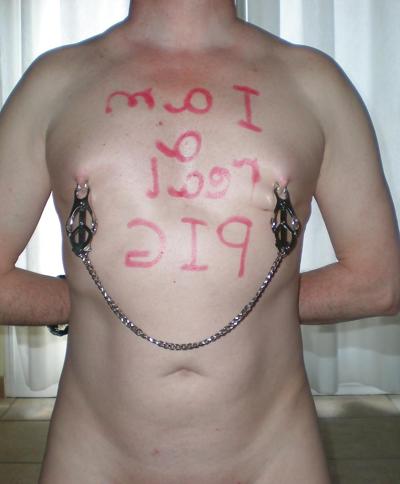 4P Real pig for Master-Mistress