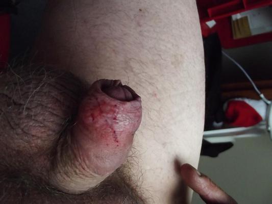 7P COCK SLAVE  CBT FARM