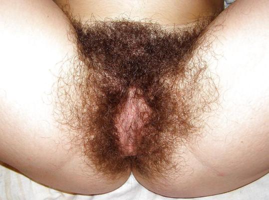 24P FIGA PELOSA 39 HAIRY PUSSY 39 CONO PELUDO CHATTE POILUE