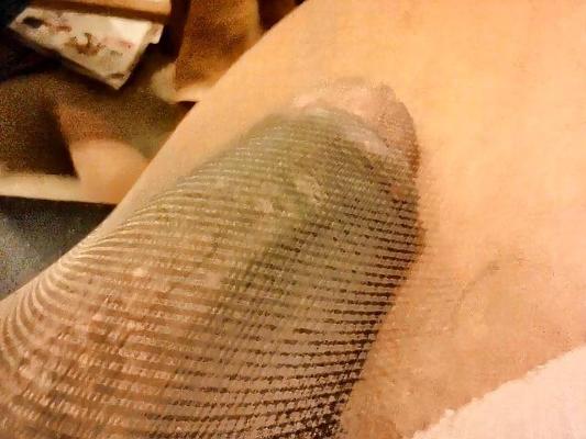 14P BBC in Shiny hose again