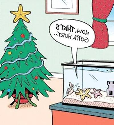 22P More random funnies and stuff ...