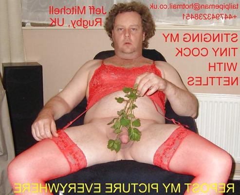 19P Jeff Mitchell email & mobile For Public Humiliation