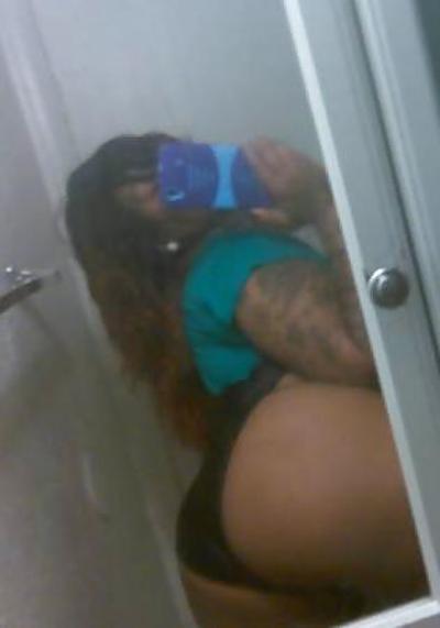 4P projet BBW chatte