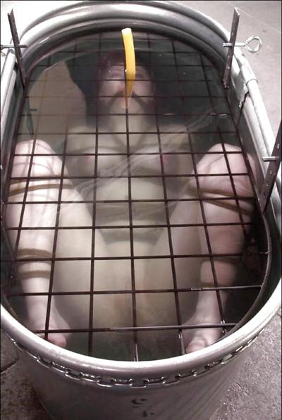 25P BDSM Mulher Thorhammer666