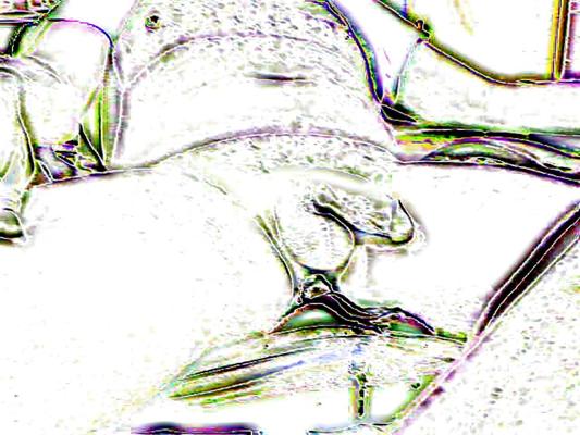 25P コック ディック ジャーキング ジャック オフ ゲイ バイ セックス