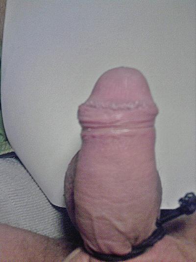 4P BDSM PENIS