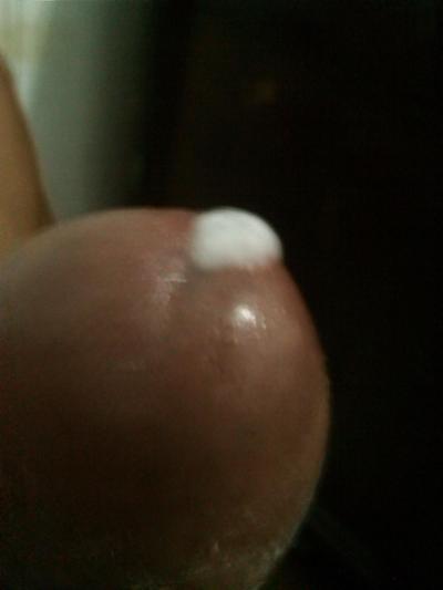 20P Gran polla negra