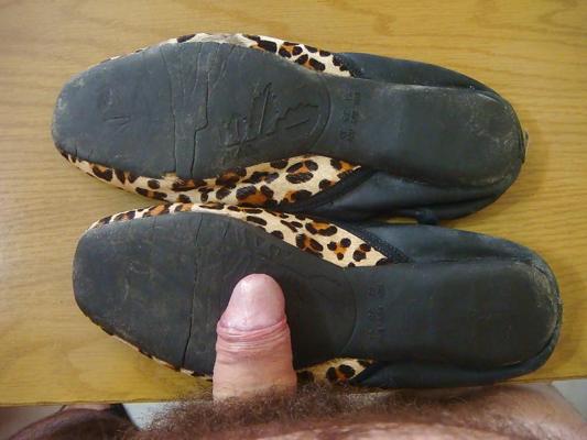 17P Sapatilha onca Stiletto