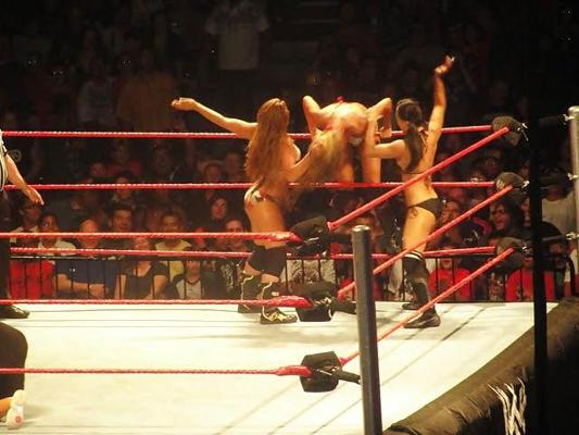 19P Mickie James, diva de la WWE TNA, gros cul et gros seins