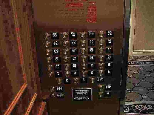 10P CAMMEL TOES