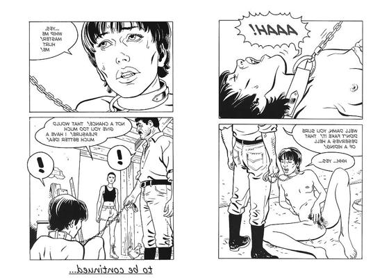 5P 漫画 XXX: 農家の奴隷