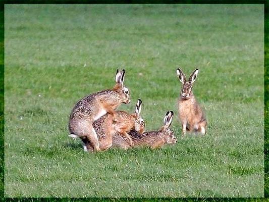 25P More Funny Pic's