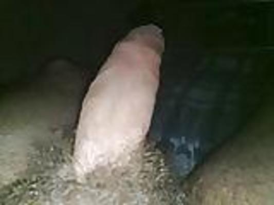 4P Who would like to play with me