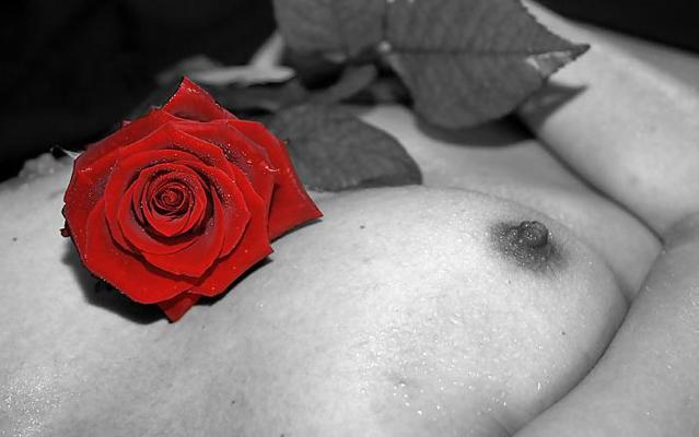 25P Erotic Art of Roses - Session 3