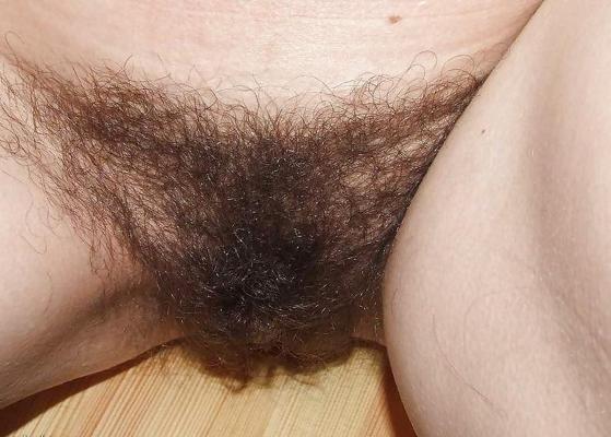 25P Hairy Bush in your Face 3