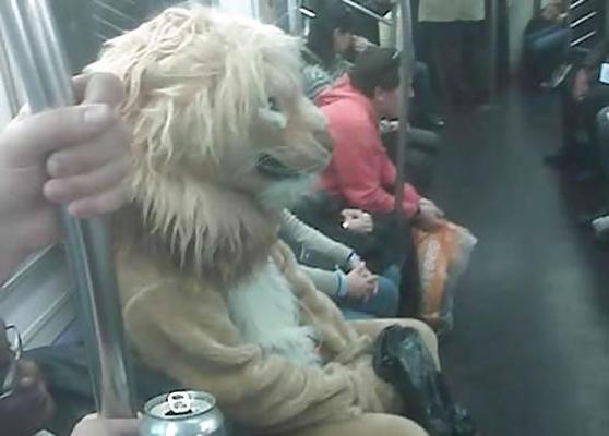 25P Funny Pics III