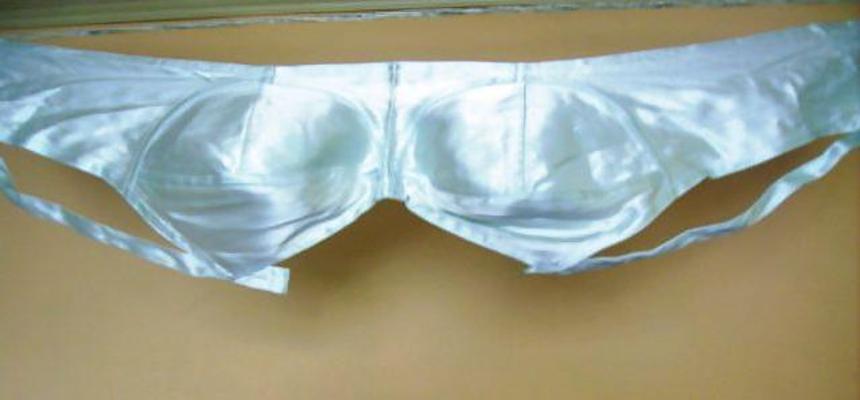 25P Satin bra