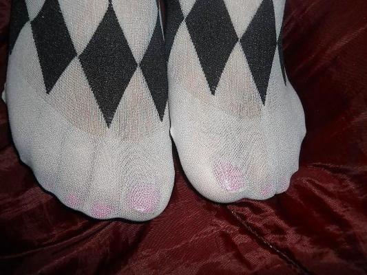24P Fun yet sexy Pantyhose