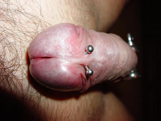 9P My pierced Cock by Bedrik
