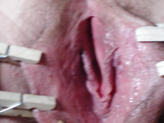 4P Grosse chatte