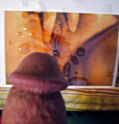 19P My cock for all to see