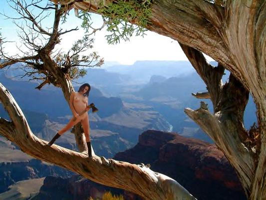 25P EXOTIC IMAGES
