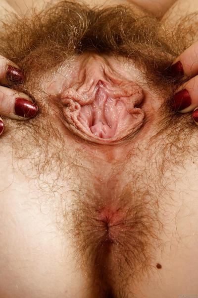 16P Nude hirsute model Sunshine has surprisingly perky nipples
