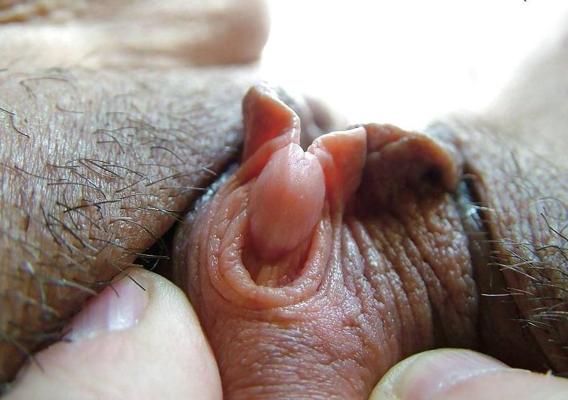 13P Big Clits and  Pussies