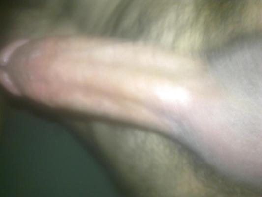 16P Would you like to lick?
