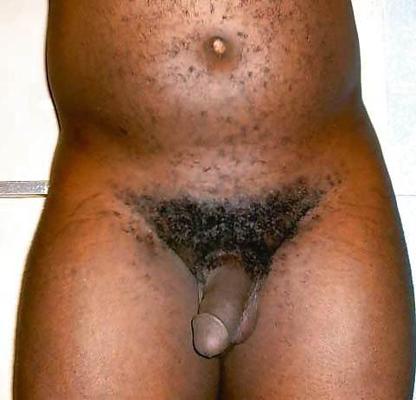 12P Black men do have SMALL dicks